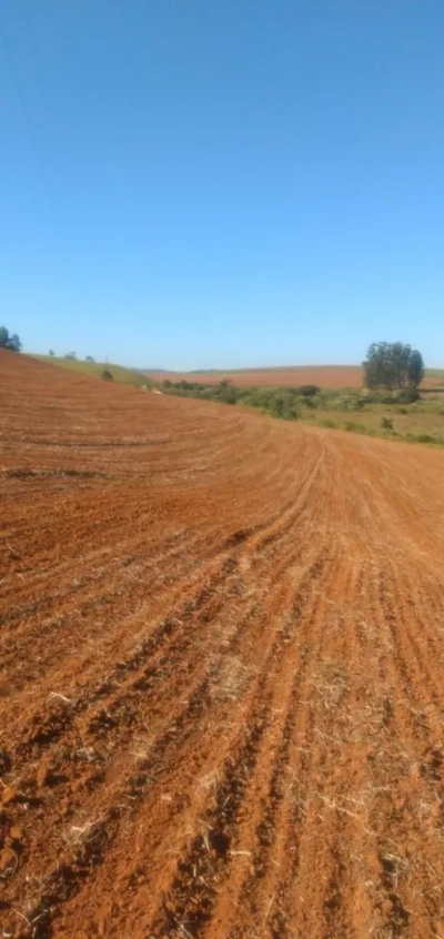 Fazenda, 88 m² - Foto 2