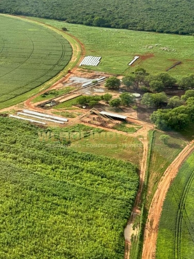 Fazenda, 3500 m² - Foto 3