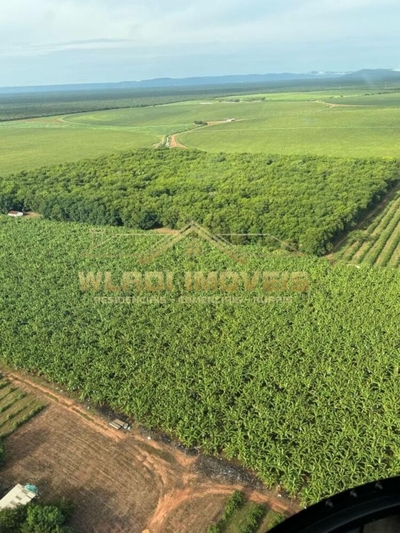 Fazenda, 3500 m² - Foto 2