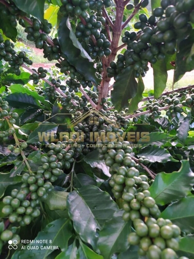 Fazenda-Sítio-Chácara, 136 m² - Foto 3