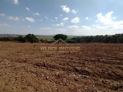 Sítio, 4 quartos, 8 m² - Foto 1