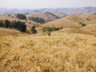 Terreno, 2 hectares - Foto 5