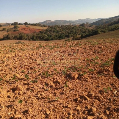 Sítio, 14 m² - Foto 2