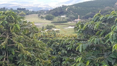 Fazenda-Sítio-Chácara, 21 m² - Foto 4