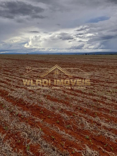 Fazenda-Sítio-Chácara, 2222 m² - Foto 4