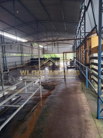 Sítio, 48 m² - Foto 4