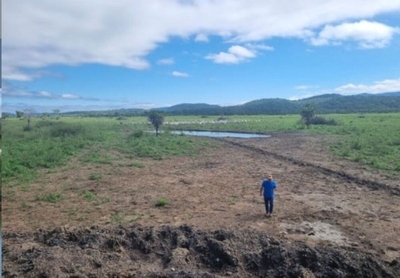 Fazenda-Sítio-Chácara, 7300 m² - Foto 2