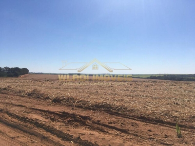 Fazenda-Sítio-Chácara, 1125 m² - Foto 5