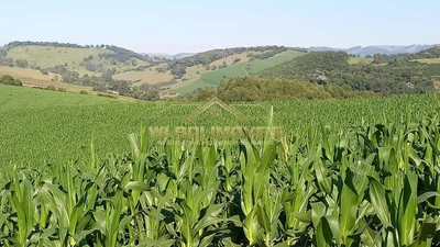 Fazenda, 72 m² - Foto 4