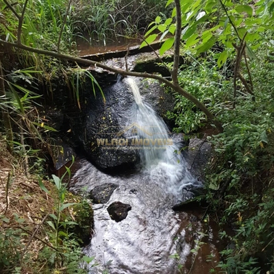 Sítio, 4 quartos, 5 hectares - Foto 2