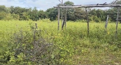 Fazenda-Sítio-Chácara, 21 hectares - Foto 1