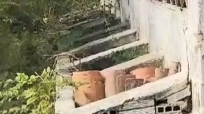 Fazenda-Sítio-Chácara, 21 hectares - Foto 3