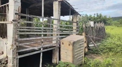 Fazenda-Sítio-Chácara, 21 hectares - Foto 2