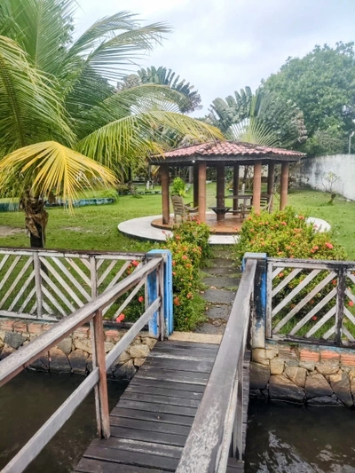 Sítio, 4 quartos, 3600 m² - Foto 4