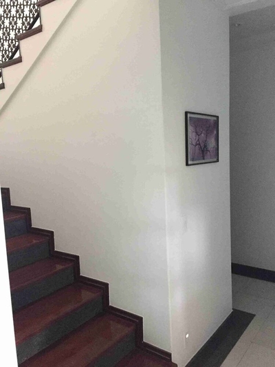 Casa, 4 quartos, 420 m² - Foto 3