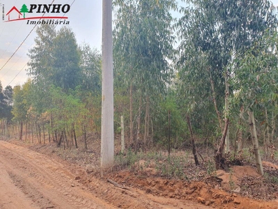 Terreno, 5000 m² - Foto 3