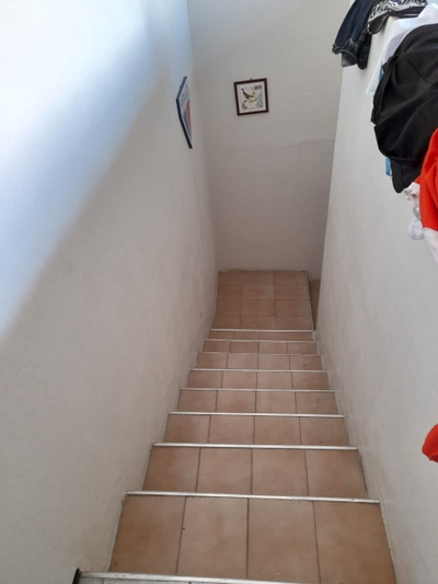 Casa, 4 quartos, 260 m² - Foto 4