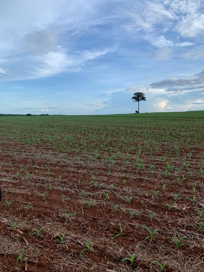 Fazenda-Sítio-Chácara, 654 m² - Foto 4