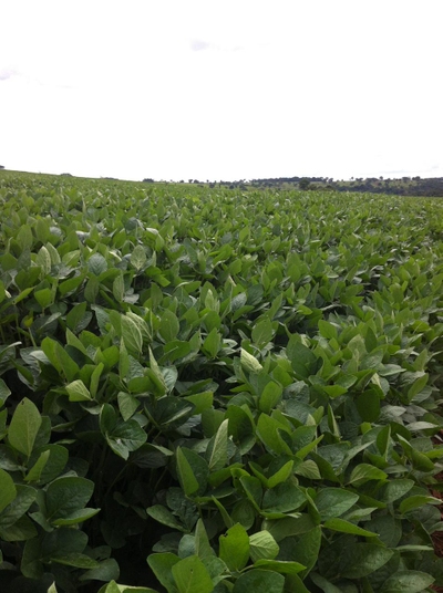 Fazenda-Sítio-Chácara, 654 m² - Foto 2