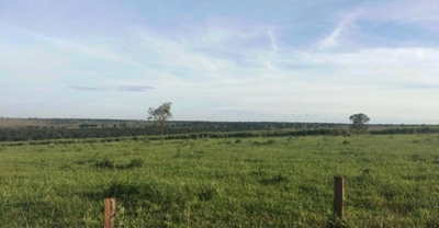 Fazenda-Sítio-Chácara, 2129 m² - Foto 4