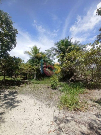 Terreno, 200 m² - Foto 1