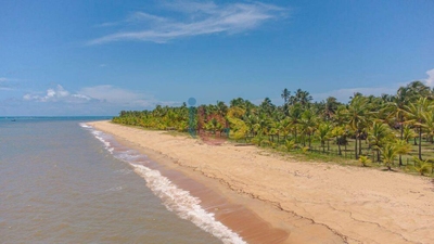 Terreno, 7 hectares - Foto 4