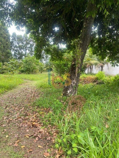 Terreno, 800 m² - Foto 3