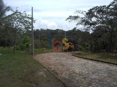 Terreno, 100 hectares - Foto 5