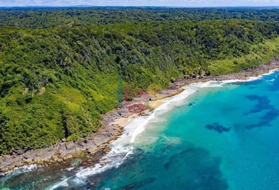 Terreno, 100 hectares - Foto 2