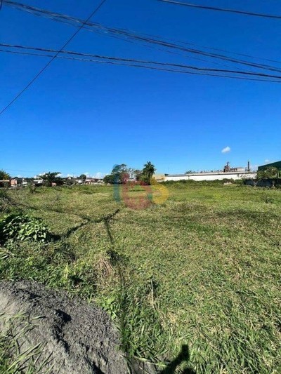 Terreno, 4827 m² - Foto 4