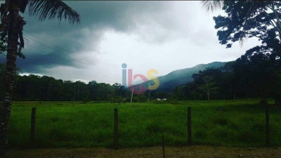 Fazenda, 3 quartos - Foto 4