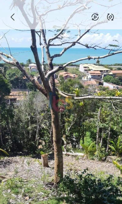 Terreno, 919 m² - Foto 3