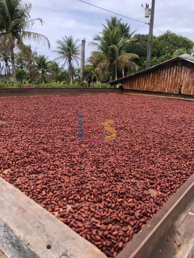 Fazenda-Sítio-Chácara, 2 hectares - Foto 1