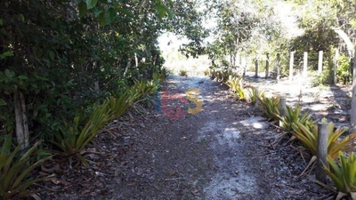 Terreno, 500 m² - Foto 2