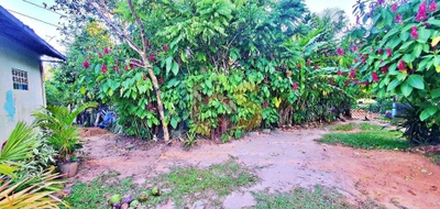 Terreno, 2400 m² - Foto 5