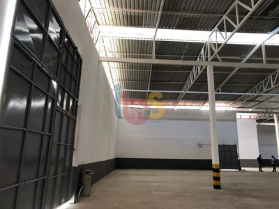 Depósito-Galpão, 1556 m² - Foto 4