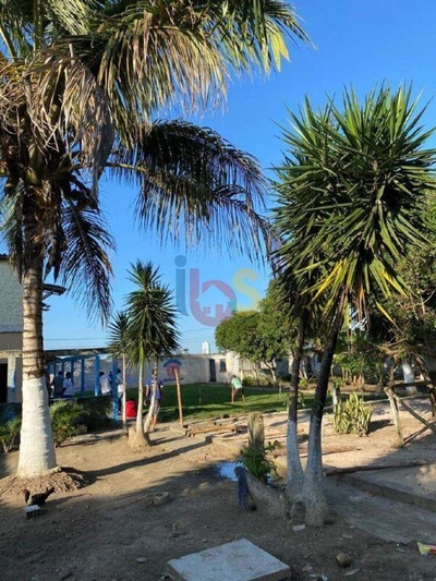 Sítio, 5 quartos, 200 m² - Foto 4