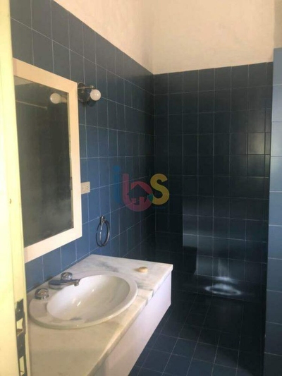 Sítio, 7 quartos, 6000 m² - Foto 3