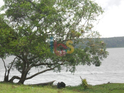 Terreno, 1000 m² - Foto 3