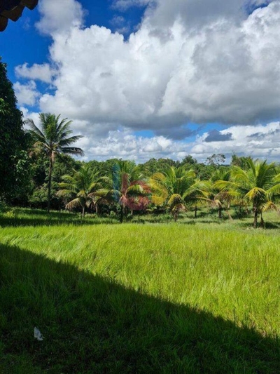 Fazenda-Sítio-Chácara, 3 quartos - Foto 1