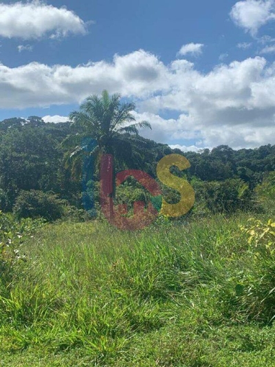 Fazenda, 2 quartos - Foto 5