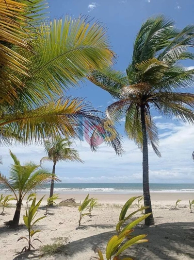 Terreno, 200 m² - Foto 1