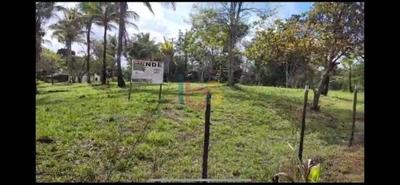 Terreno, 4 hectares - Foto 3