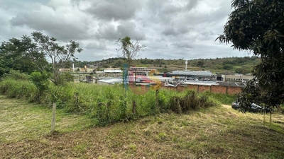 Terreno, 4450 m² - Foto 4