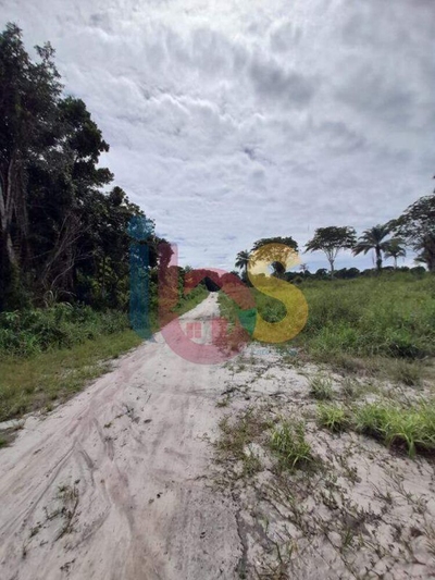 Terreno, 250 m² - Foto 5