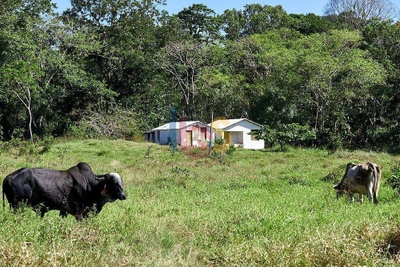 Fazenda-Sítio-Chácara - Foto 4