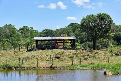 Fazenda-Sítio-Chácara - Foto 5
