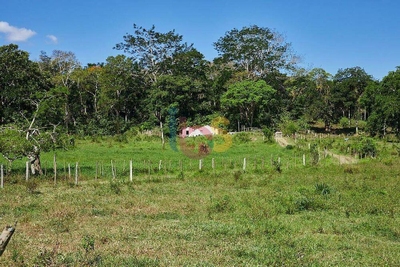 Fazenda - Foto 1