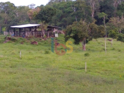 Fazenda-Sítio-Chácara - Foto 2