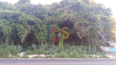 Terreno, 600 m² - Foto 2